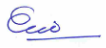 Chairman signature